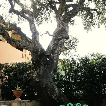 Casa Quercia - Affitti Brevi Italia
